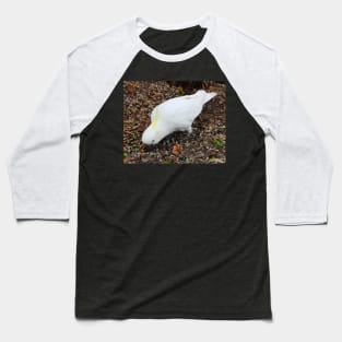 Cockatoo Feeds! Baseball T-Shirt